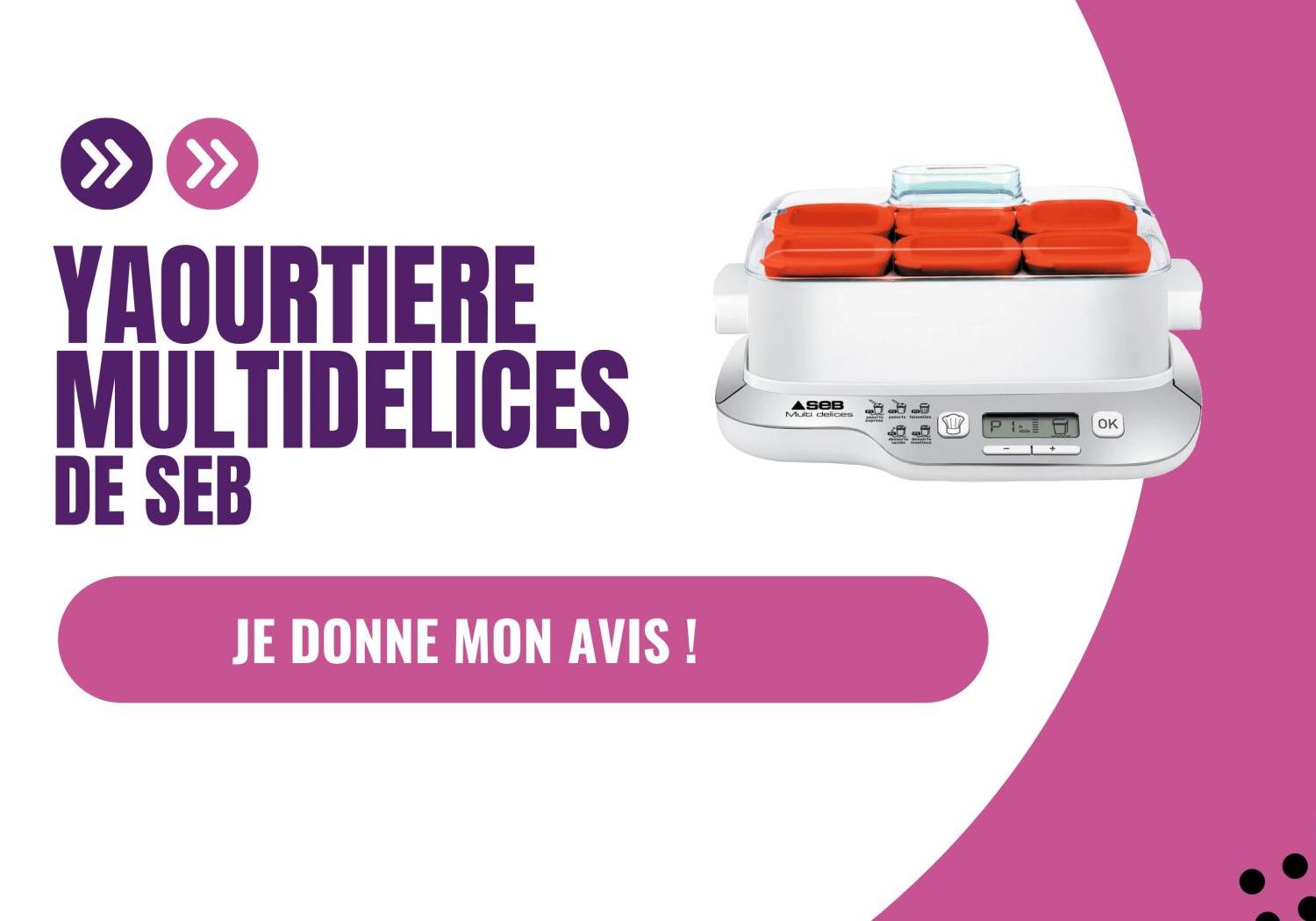 Yaourtière Mulitdelices de Seb